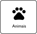 Animais & Pets
